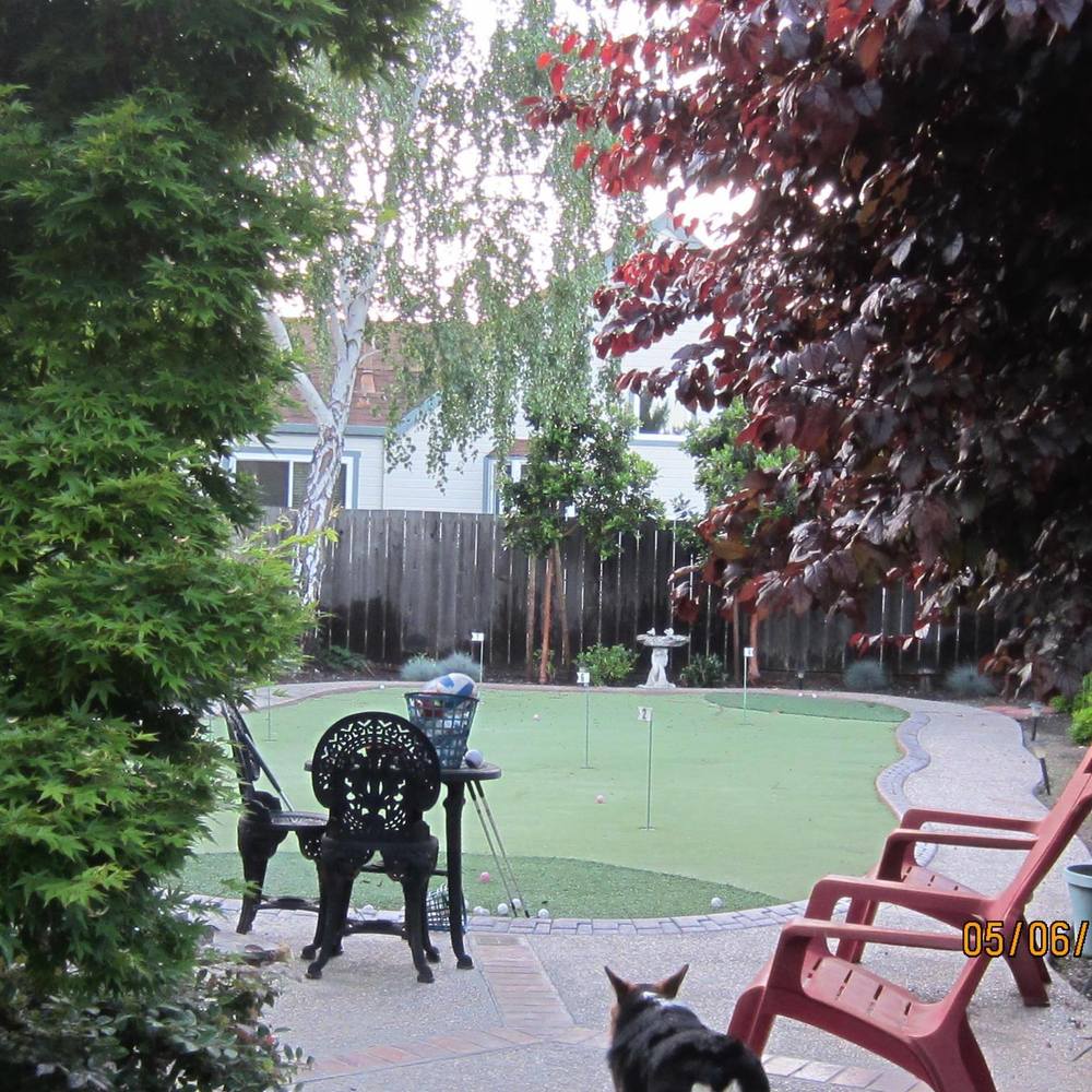 Meet your Posher, Janice